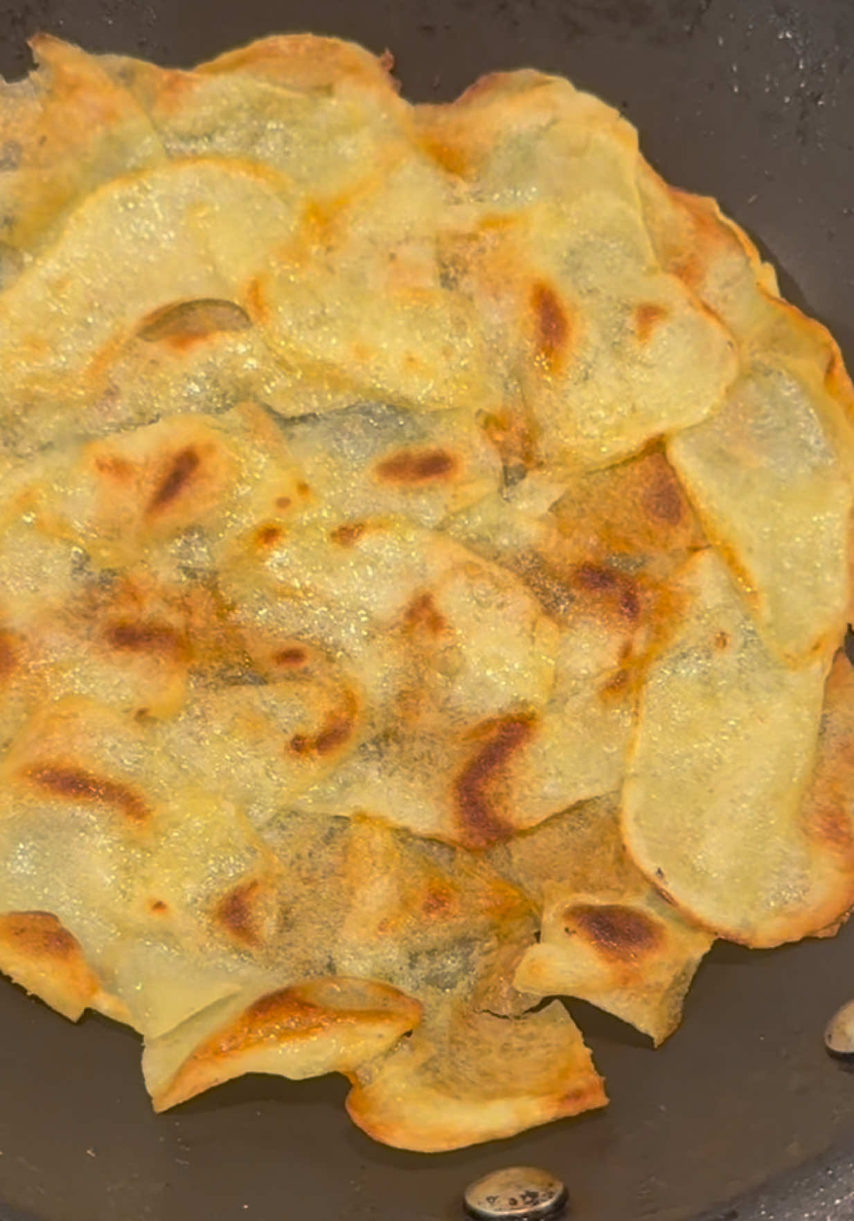 Giant Potato Chip