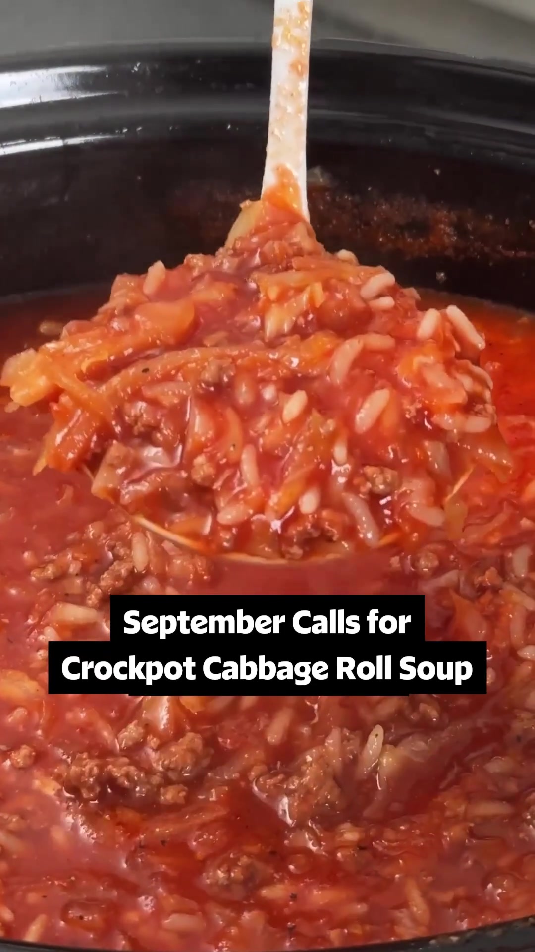 Crockpot Cabbage Roll Soup