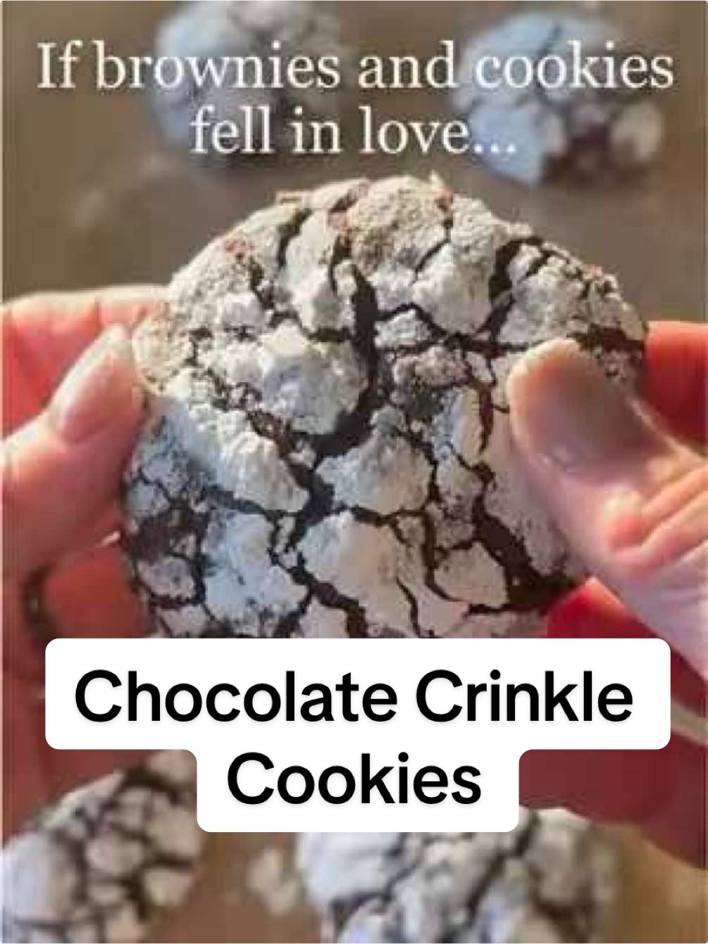 Chocolate Crinkle Cookies