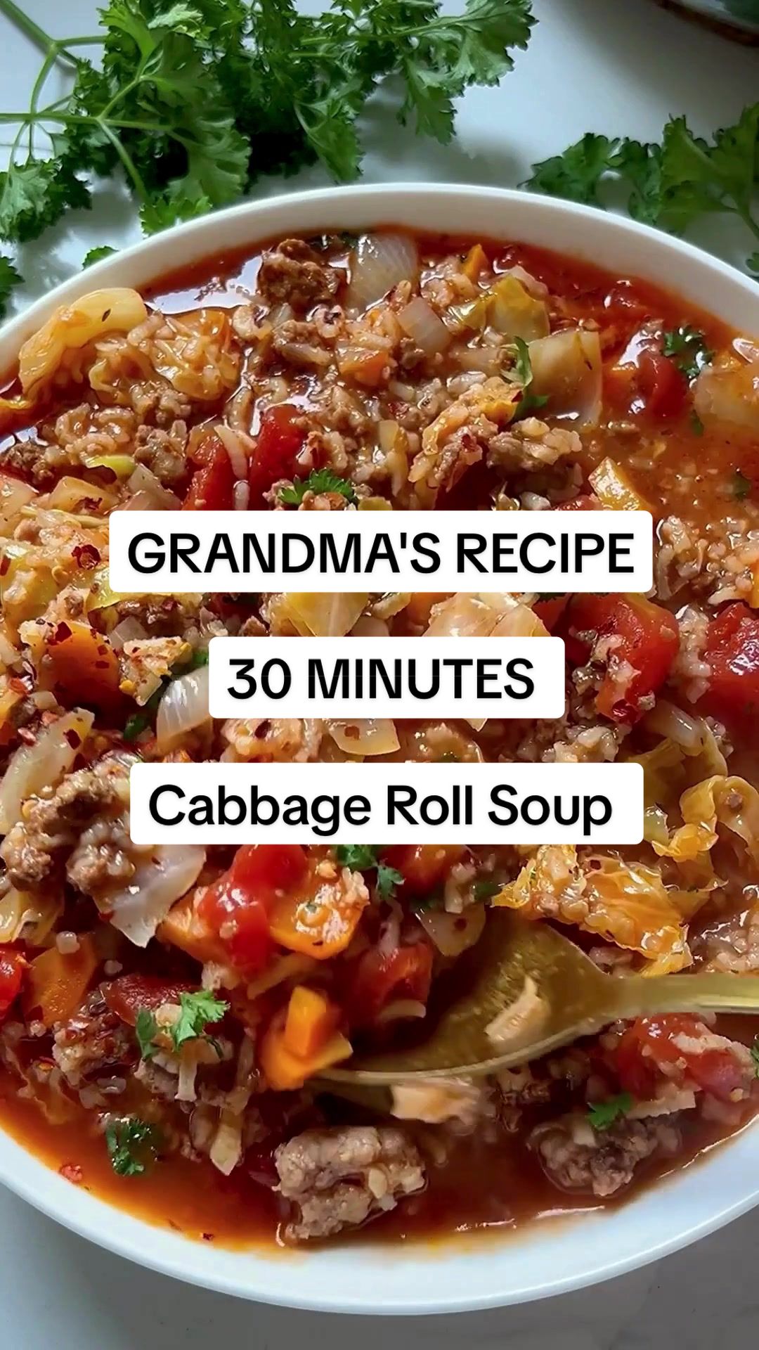 Grandma's Cabbage Rolls