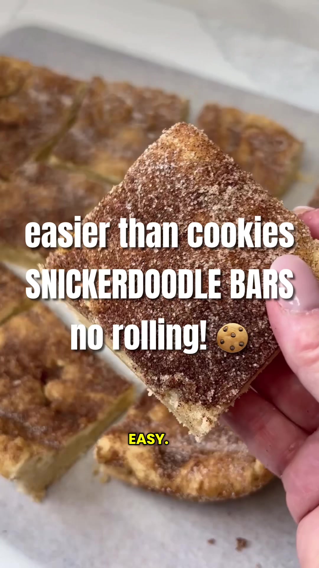 Snickerdoodle Bars